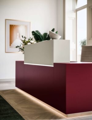 Mostrador recepción Z1